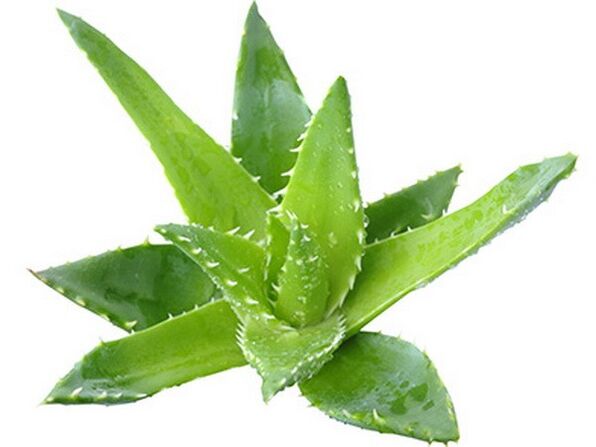 Gelarex contains aloe vera extract